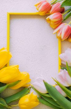 Tulips and a frame on a gray background . Tulips of kopi space. Gray background. Mockup . Space for text. A greeting card. Tulips on a gray background. Spring flowers. March eighth. Mother's Day. Birthday