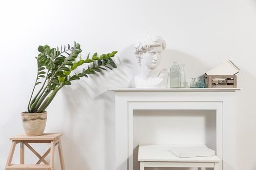 Apollo's plaster head in a white interior. Zamioculcas plant in a clay pot on a stool. Wooden box with glass bottles and a notepad on the table.