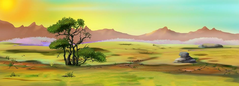 Desert landscape of the African savannah in the early morning. Digital Painting Background, Illustration.