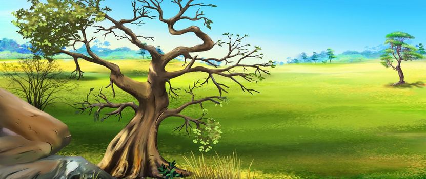 Big tree on the background of the steppe landscape. Digital Painting Background, Illustration.