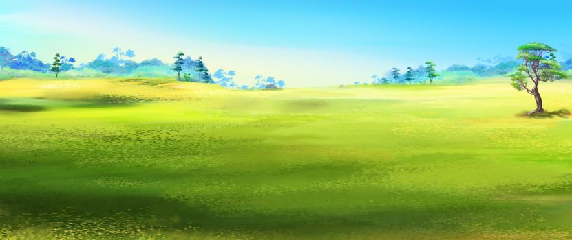 Steppe landscape on a sunny summer day. Digital Painting Background, Illustration.