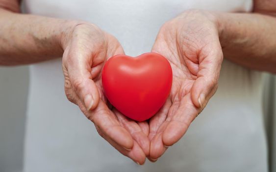 Grandmother woman hands holding red heart, healthcare, love, organ donation, mindfulness, wellbeing, family insurance and CSR concept, world heart day, world health day, national organ donor day.