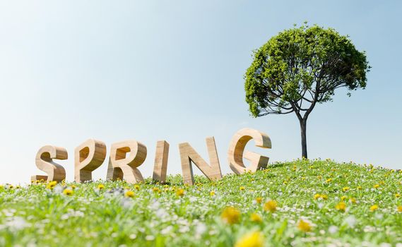 wooden sign with the word SPRING in a meadow with a tree next to it. spring arrival concept . 3d rendering