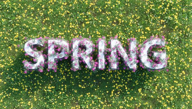 spring sign with flowers over a field full of flowers and green grass. spring arrival concept. 3d rendering