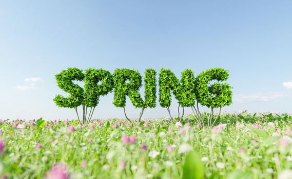 bush sign with the word SPRING in a meadow full of flowers. concept of spring arrival . 3d rendering