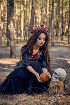Beautiful, wicked, long-haired charmer in a black, long embroidered dress. There is large red crown in her brown, curly hair. She is giving some water to a skull from a clay pot while posing sitting in a pine forest. Spells and witchcraft. Full length portrait.