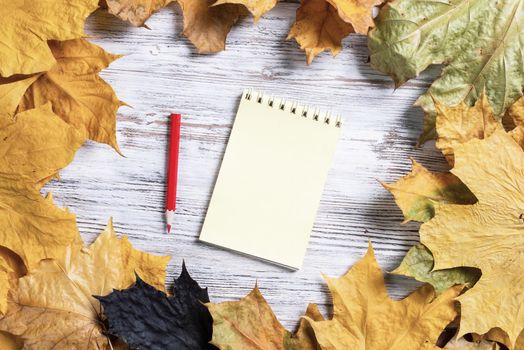 Spiral notepad and pen lies on vintage wooden desk with bright autumn foliage. Business and education concept. Flat lay with autumn leaves on white wooden surface. Blank notepaper with copy space.