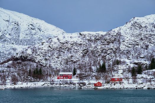 Traditional red rorbu houses on fjord shore in snow in winter. Lofoten islands, Norway