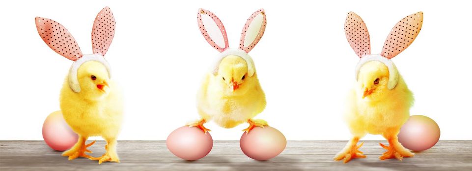 An Easter decoration with chicken. Easter holiday concept with cute chick.