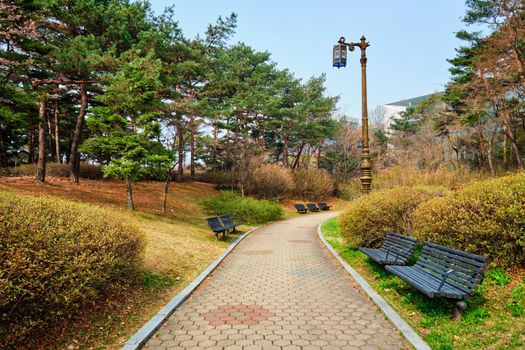 Path walk with benches in Yeouido Park public park in Seoul, Korea