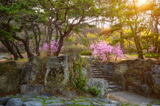 Park near Namsan Seoul tower on sunset. Seoul, South Korea