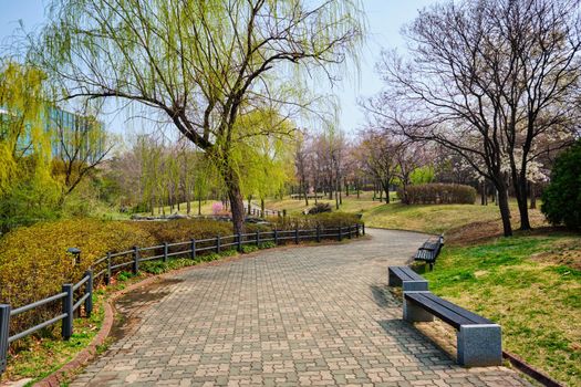 Path walk with benches in Yeouido Park public park in Seoul, Korea