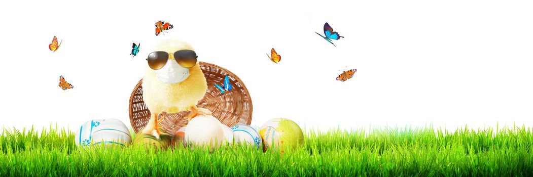 An Easter decoration with Chicken. Easter holiday concept with cute chick.