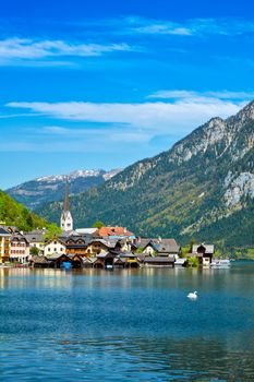 Swan in lake against Hallstatt village on Hallstatter See in Austrian alps. Salzkammergut region, Austria