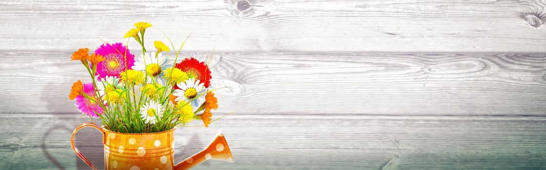 Spring flowers in watering can. Gardening tools and equipment.