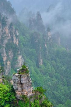 Famous tourist attraction of China - Zhangjiajie stone pillars cliff mountains in fog clouds at Wulingyuan, Hunan, China