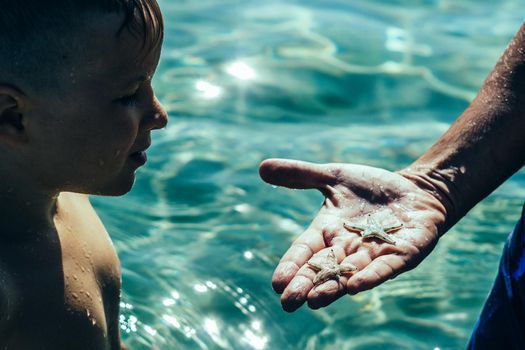 Man male hand arm close photo. Father hold show starfish on open palm. Child son look explore new world, family education curiosity inquisitive. Clear water sea vocation travel love care together.