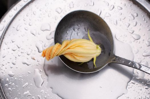 twisted spiral zucchini flower in a steel fin, abstract close foreshortening, minimalisme. High quality photo