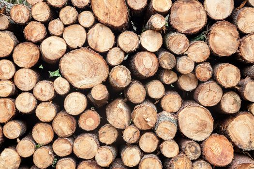 Close-up of big wood stack for background