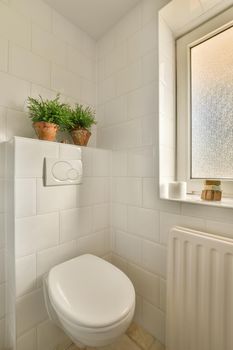 The interior of the bathroom with indoor plants, a hinged toilet next to the window