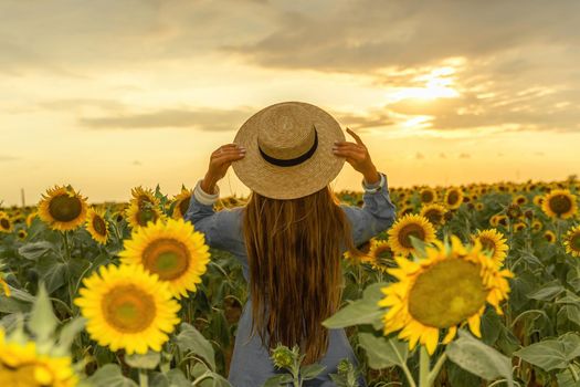 Beautiful middle aged woman looks good in a hat enjoying nature in a field of sunflowers at sunset. Summer. Attractive brunette with long healthy hair