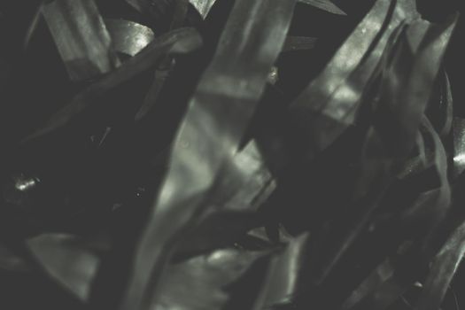 Abstract real photo beauty blur background. Bunch heap pile long narrow leave nature dry material rubbish stack. Copy space. Maze life confusion concept. Dark light tone Black Pale Matte Vintage.