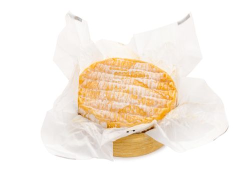 Camembert cheese on white background isolated