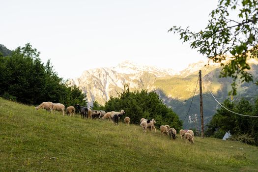 National Park of Thethi, Albania.