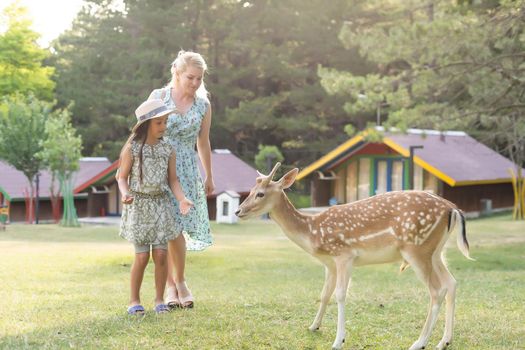 Happy young mother with daughter feeding beautiful deer in the zoo.