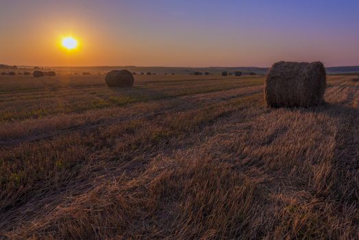 rick field in golden sunset light atmosferic wide angle shot