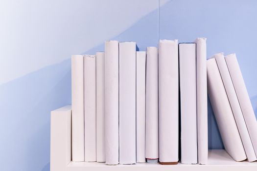 Shelf of books on white.literature,education,library,home office, back to school concept, copy space