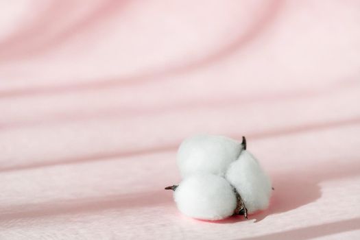 Cosmetic pink background for product presentation with cotton flower, shadows and light from windows. Mockup scene, natural organic cosmetic concept. Window shadow overlay effect.