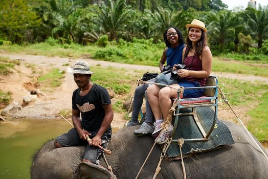 Portrait of young tourists on an elephant ride through a tropical rainforest.