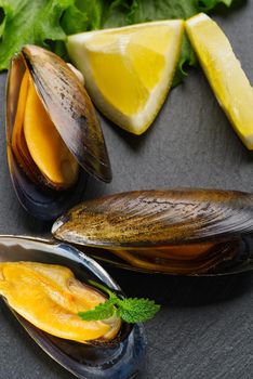 Mussels in sauce. Shellfish dish. Seafood dishes. Fresh Mussels.