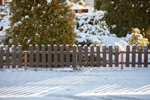 View of estate square with coniferous trees and shrubs fenced with wooden separate fence. Winter aura on the city gardens.