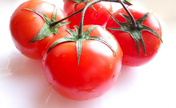 A fresh tomato highlighted on a white background. Fresh vegetable isolated on a white background.