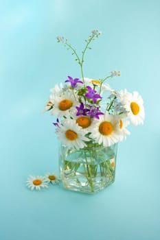 Chamomile, bluebells and forget-me-nots.Bouquet in a glass jar on a blue background.