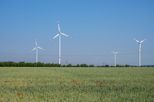 Wind energy turbines behind a cornfield in Germany