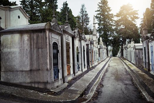 Shot of a row of graves situated next to each other inside of a graveyard outside during the day.