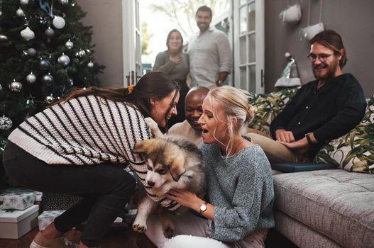 Cropped shot of a group of cheerful friends hanging out together with a puppy in the living room at home during christmas time.