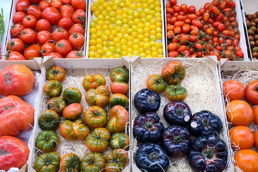 Tomatoes in different colors and shapes for sale at a market
