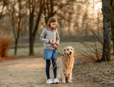 Preteen girl with golden retriever dog walking in park in beautiful spring autumn day. Adorable female child kid with doggy pet outdoors