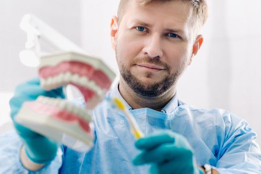 A model of a human jaw with teeth and a toothbrush in the dentist's hand.