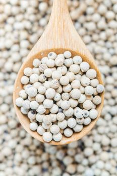 The White pepper seeds (peppercorn) in wooden spoon on tablecloth background.