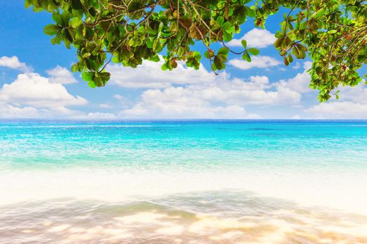 Beautiful beach and blue sky in Similan islands, Thailand. Vacation holidays background wallpaper.