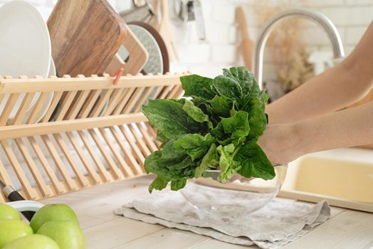 Preparing healthy foods. Healthy eating and dieting. Young smiling woman in home clothes washing spinash in the kitchen. Closeup of spinach