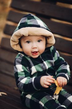 Portrait of cute baby in checked green, blue and black overall with hood sitting on the ground covered with bright dry foliage on autumn day. Fair haired baby in overall on vivid colorful leaves in the autumnal park or forest.