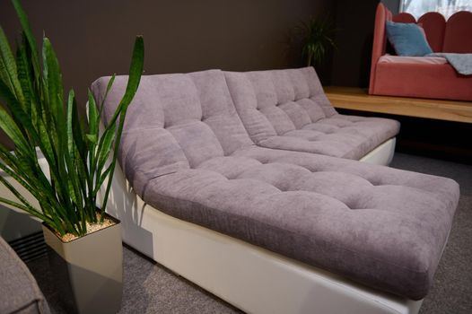 Side view of a modern confortable sofa, displayed for sale in a showroom of an upholstered furniture store for home furnishing. Interior design and home decoration