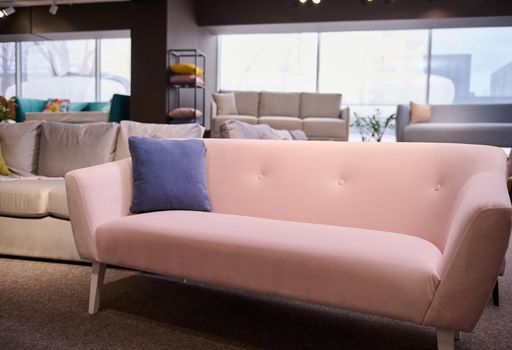 Furniture store with sofas and couches on display for sale, copy space. Furniture store showroom interior. Stylish pink sofa with purple cushion in the showroom of upholstered furniture.