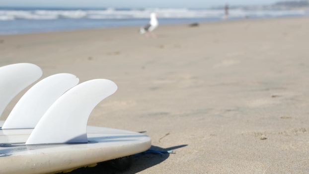 Surfboard for surfing lying on beach sand, California coast, USA. Ocean waves and white surf board or paddleboard. Longboard or sup for watersport by sea water. Summer vacations, sport on shore vibes.